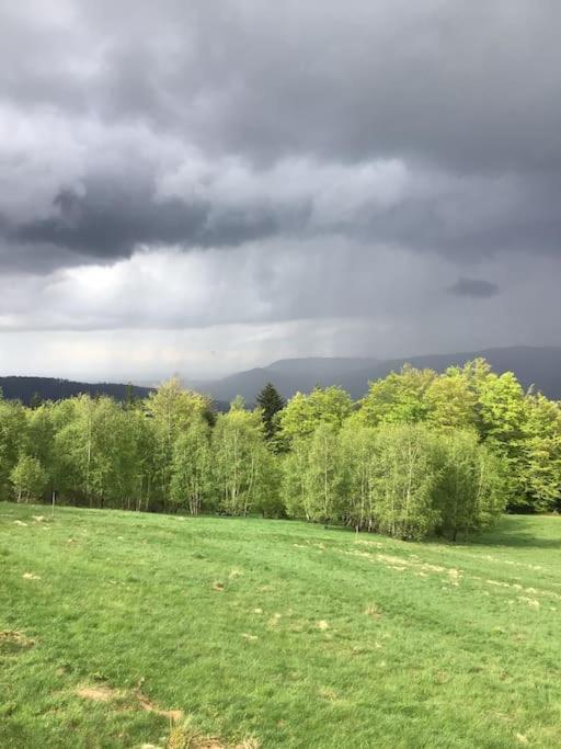 Domek Gorski Na Polanie Goryczkowej 700 M Npm - Szczyrk Dojazd Samochodem Terenowym, W Zimie Utrudniony - Wymagane Lancuchy Экстерьер фото